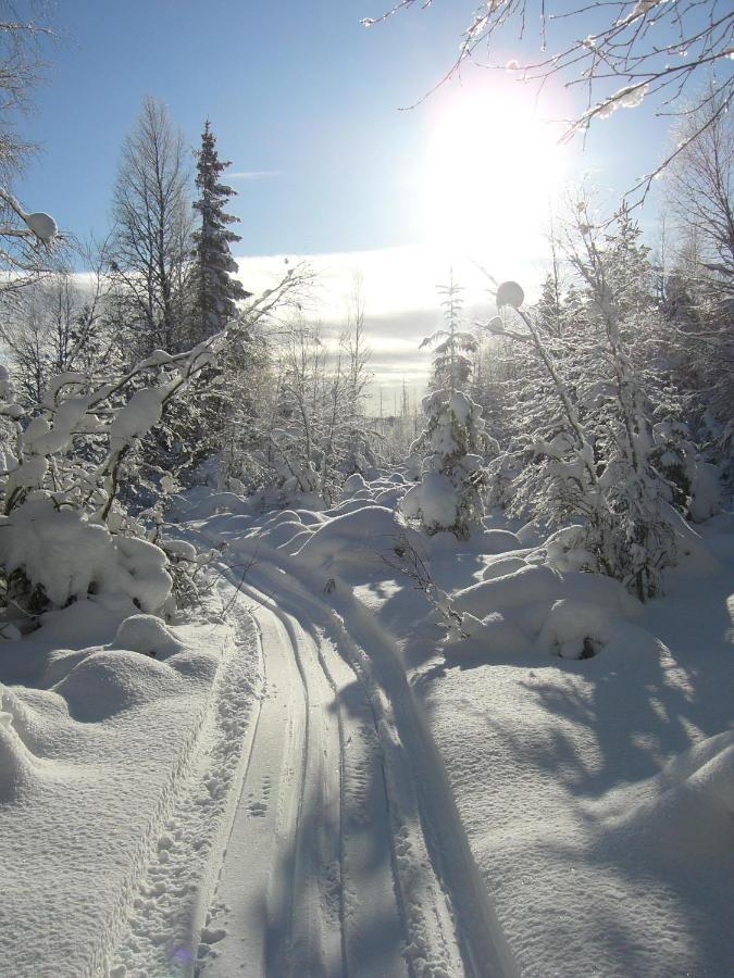 Panoramaboende Torsby Exterior photo